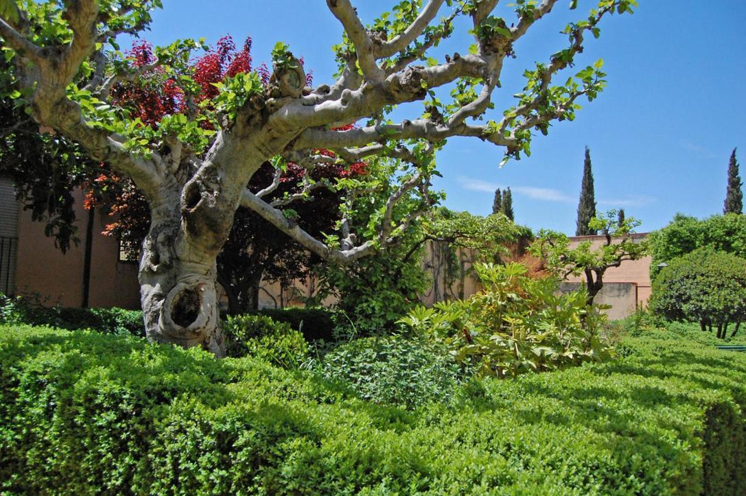 Un Vergel Al Pie De La Alhambra. Enjoy It Now!! Granada Eksteriør billede